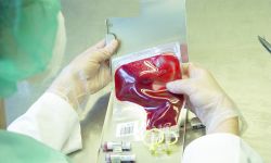 Krew to bezcenny skarb, którym warto się dzielić