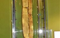 Rosja. Zanim nadejdzie syberyjskie lato