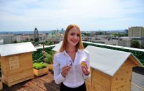 Rzeszów z pasieką w samym centrum miasta na dachu Galerii Rzeszów