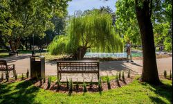 Park przy ul. Dąbrowskiego znów przypomina letni salon Rzeszowa