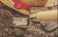 Mulczowanie, czyli jak użyźnić glebę