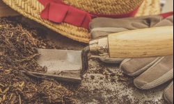 Mulczowanie, czyli jak użyźnić glebę