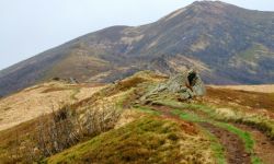 Bieszczady. Zamknięte szlaki na Tarnicę i Halicz