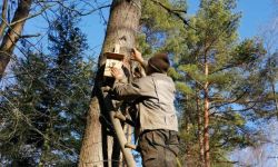 Przed zimą czas na skrzynki lęgowe w podkarpackich lasach