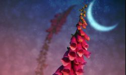 Kalendarz biodynamiczny - lepsze zbiory w pełni czy nowiu Księżyca?