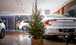 Ekologiczna akcja Wypożyczalnia Choinek Volvo rusza już 17 grudnia!