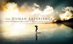 Znakomity "The Human Experience" w kinie Zorza