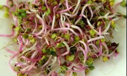 Ekologiczne postanowienia na nowy rok dla miłośników natury