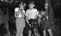 Rzeszowskie ślady. Andrzej, syn płk. Cieplińskiego, myślał, że ojciec wróci 