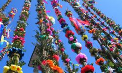 Niedziela Palmowa w podkarpackiej tradycji