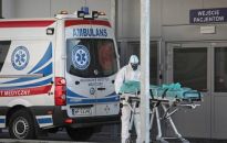 MZ: 9 902 nowe przypadki zakażenia koronawirusem, zmarły 64 osoby