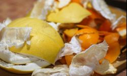 Dwa sposoby na kompostownik w mieszkaniu w bloku 