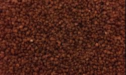 Kasza gryczana najczęściej na polskich stołach