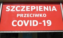 Prawie 8,5 mln podanych dawek szczepionek przeciw COVID-19