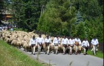 Startuje Redyk Karpacki