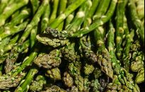 Szparagi kiedyś rosły w wielu ogródkach. Jak je uprawiać?