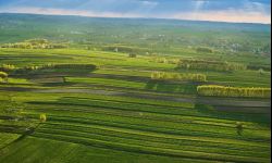 Wiosna wokół Rzeszowa. Galeria Fotografii