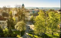 Rzeszów zamówił tysiące roślin. Także na nowe skwery