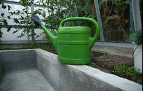 W słońcu rośliny mniej chorują