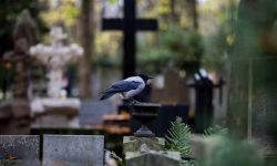 W 2020 prawie 68 tys. zgonów więcej niż w 2019 roku