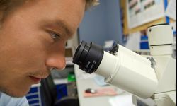 14 mln zł na badania i wynalazki podkarpackich uczelni