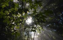 Synoptyk IMGW: w środę od 20 do 25 stopni Celsjusza; na Wybrzeżu mocniejszy wiatr