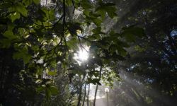 Synoptyk IMGW: w środę od 20 do 25 stopni Celsjusza; na Wybrzeżu mocniejszy wiatr