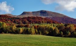 Nasze buki na liście Światowego Dziedzictwa UNESCO