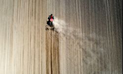 Puda: zmiany klimatu powodują coraz więcej strat w rolnictwie