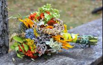 W Matki Boskiej Zielnej oddajemy hołd naturze