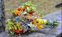 W Matki Boskiej Zielnej oddajemy hołd naturze