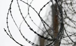 Minister obrony Błaszczak: wojsko grodzi zasiekami granicę z Białorusią