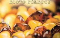 Bursztyn Złoto Północy w Muzeum Podkarpackim w Krośnie