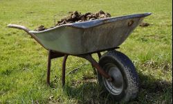 Jesienne nawożenie gleby - dobór składników i dawki