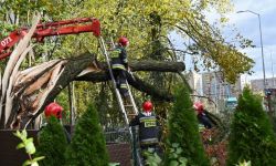 PSP: prawie 9,7 tys. interwencji w związku z silnym wiatrem