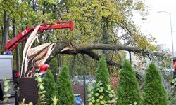 PSP: Niemal dwa tys. interwencji straży ze względu na silny wiatr