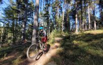 Rowerowy raj na 4 trasach w lasach w Czarnorzekach