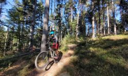 Rowerowy raj na 4 trasach w lasach w Czarnorzekach