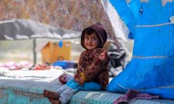 ONZ ostrzega przed śmiercią głodową milionów Afgańczyków