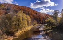 Jesień w Bieszczadach. Fotografie Tadeusza Poźniaka