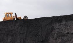 Polska otrzymała od organizacji pozarządowych tytuł 