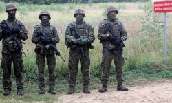 Podlaskie: w pobliżu Białowieży doszło do kolejnej próby siłowego sforsowania granicy