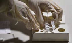 Europa epicentrum Covid-19; 2 mln nowych przypadków i 27 tys. zgonów w ciągu tygodnia