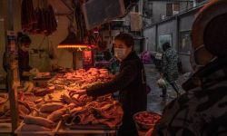 Pierwszy znany pacjent z Covid-19 jednak pracował na targu w chińskim Wuhanie