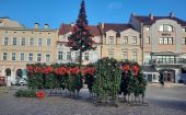 Rzeszów stroi się na święta. Na Rynku stanie zamek