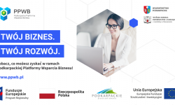 PORADNIK II - Jak zgłosić się jako Dostawca Usług?