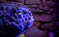 Odkrywanie historii miasta w 