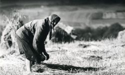 Fotografie grupy Dokumentalni i wieczór Sosnowskiego w WDK 