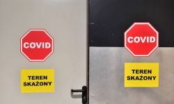 Badaczka ze szpitala MSWiA: opracowaliśmy test identyfikujący pacjentów narażonych na ciężki przebieg COVID-19