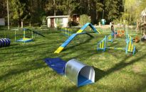 Przed wakacjami psi park na osiedlu Baranówka w Rzeszowie